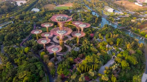 Gardens by the Bay - Fun Things Singapore (Image Credit: Unsplash)